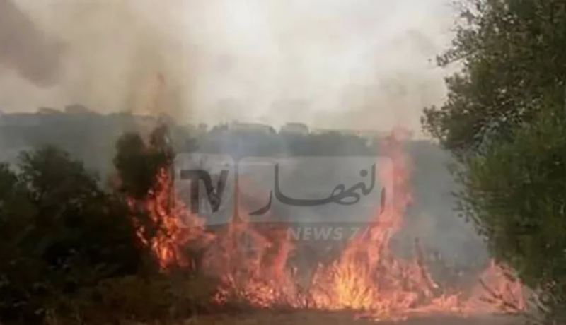 اخماد حريق غابة زنطوط في ولاية باتنة