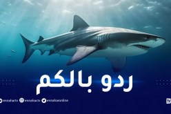 الخبراء يحذرون سكان البحر الأبيض المتوسط من أسماك القرش