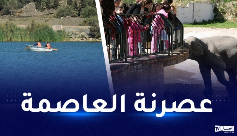 دنيا بارك و”سفاري” بن عكنون.. هذا جديد مشاريع العاصمة