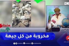 طالع هابط: النوي يكشف السبب الحقيقي لإرتفاع أسعار الدجاج في السوق