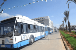 إيتوزا.. فتح خطين جديدين في العاصمة