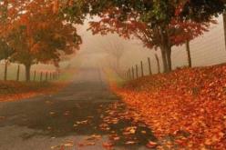 فلكيا.. هذا موعد نهاية فصل الصيف