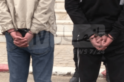 وهران: توقيف شخصين يقومان بقطع الأشجار من ملك غابي
