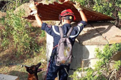 جيجل: البحث عن تسعيني مفقود بغابة يعاني من الزهايمر