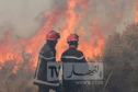 19 منها قيد الإخماد.. تسجيل 146 حريقا خلال يوم واحد!