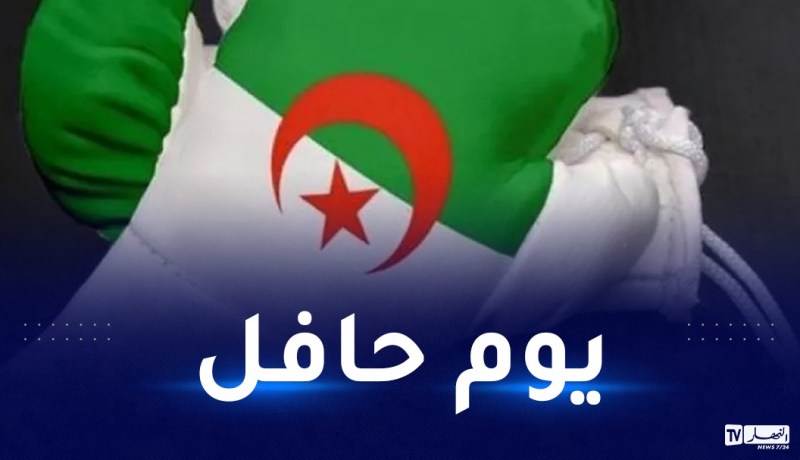 دورة داكار.. 3 ملاكمين جزائريين يطمحون لخطف تأشيرة الأولمبياد
