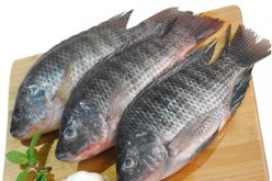 سيدة تفقد أطرافها الأربعة بعد وجبة سمك من هذا النوع!