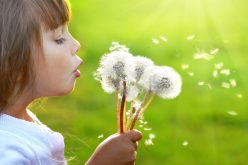 أولادنا أمانة فاحرصوا على صونها