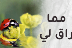 العيش في الظلام منعني من التقدم للأمام