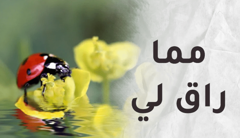 مما راق لي