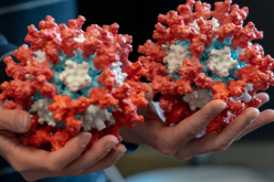 إكتشاف مجموعة جديدة شديدة العدوى.. تحذير من موجة كورونا صيفية