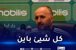 بلماضي: “تقديم مباراة في المستوى يتطلب توفر ظروف معينة”