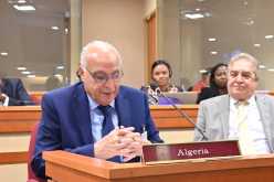 من نيويورك.. وزير الخارجية يلح على إسماع صوت إفريقيا وحقها في موارد الأمم المتحدة