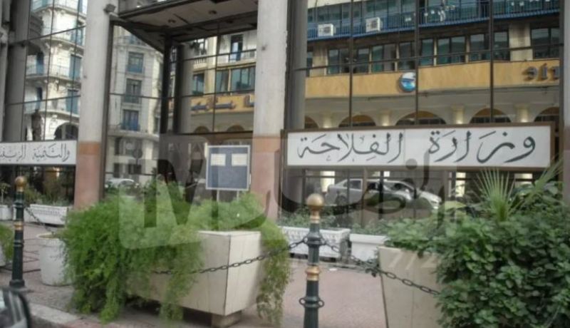 وزارة الفلاحة تُلغي قرار استيراد اللحوم الحمراء المجمدة