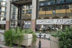 مشروع مدمج لإنتاج الحبوب والبقول الجافة والعجائن الغذائية بالجنوب