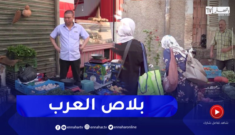 البليدة: “بلاصة العرب” ..مقصد الباحثين عن خضر طبيعية بيولوجية