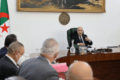 هذه أهم قرارات مجلس الوزراء