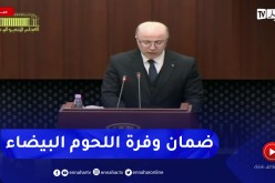 الوزير الأول: استيراد اللحوم البيضاء وتوفير مخزون أمني للمحافظة على أسعارها المعقولة في شهر رمضان