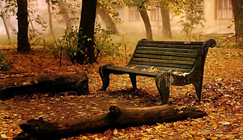 مواقف تستحق التأمل.. الانسحاب الخفي للعمر