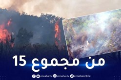 جيجل.. إخماد 14 حريقا اندلع في 13 بلدية