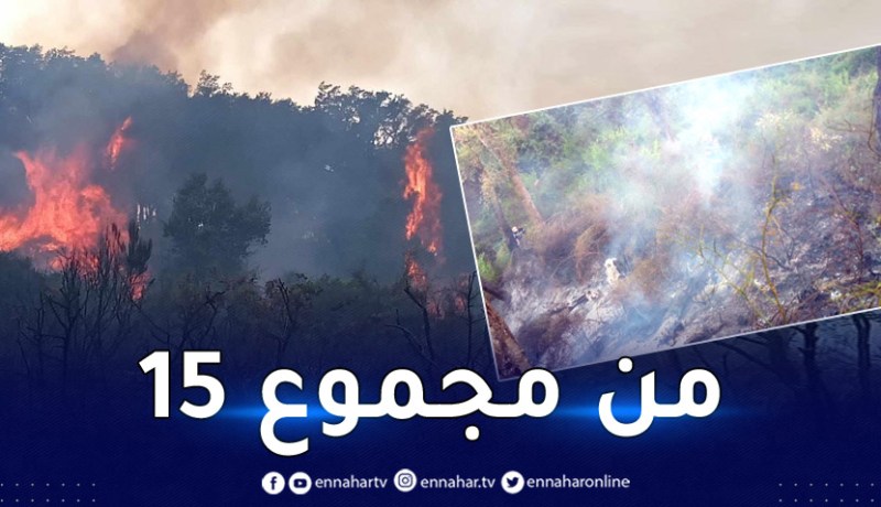 جيجل.. إخماد 14 حريقا اندلع في 13 بلدية