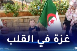 القضية الفلسطينية..في القلب من جيل إلى جيل