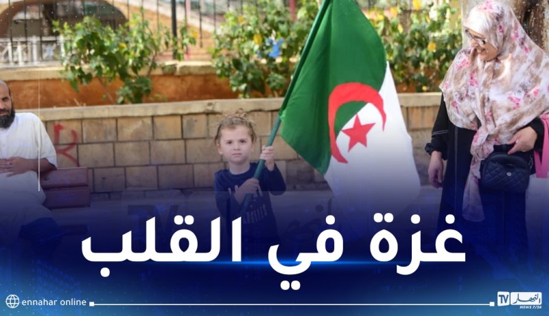 القضية الفلسطينية..في القلب من جيل إلى جيل