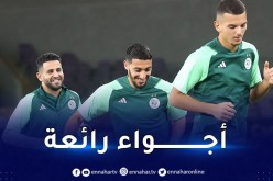 بالصور.. الخضر يجرون آخر حصة تدريبية قبل مواجهة مصر