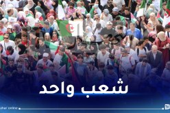 فلسطينيون.. سوريون وجزائريون.. وصول المسيرة إلى ساحة الشهداء