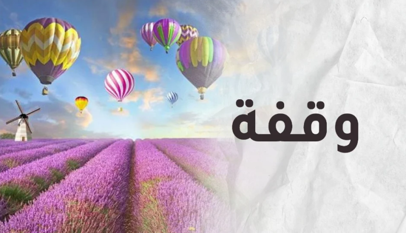 عاملناه بأصلنا فخان فعاملناه بأصله فصان