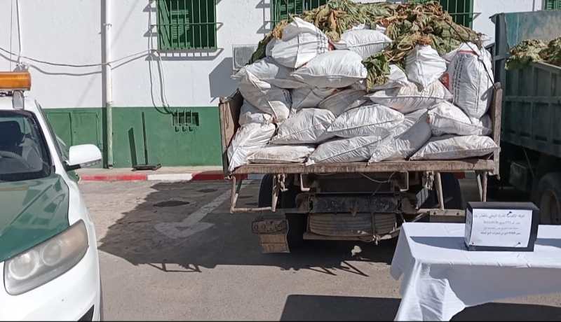 باتنة: الدرك يحجز 97 قنطار من مادة التبغ بالمعذر