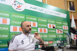 بلماضي: “قمنا باللازم مع عدلي والكرة حاليا في مرماه”