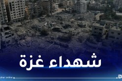 ارتفاع حصيلة شهداء العدوان الصهيوني على غزة إلى 3785 شهيدا