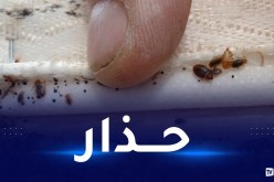 هذه علامات غزو “بق الفراش” للمنازل