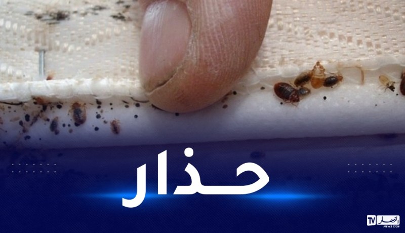 هذه علامات غزو “بق الفراش” للمنازل