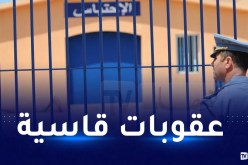 هذه عقوبة تزوير الوثائق الإدارية والشهادات