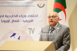وزير الخارجية: نطمح لتنظيم مؤتمر دولي حول التنمية في الساحل