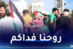 الجزائريون ينتفضون نُصرة لغزة.. مسيرات مليونية عبر الوطن