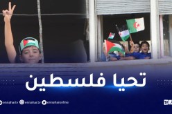 محلات مغلقة.. خلينا القراية والخدمة لنصرة فلسطين