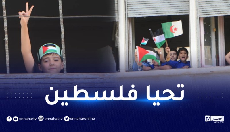 محلات مغلقة.. خلينا القراية والخدمة لنصرة فلسطين
