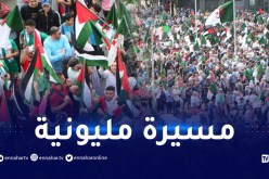 بأعداد فاقت التوقعات.. الجزائريون يتدفقون للشوارع نُصرة لغزة