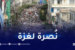 الخارجية تُلغي كل الاحتفالات المخلدة لذكرى أول نوفمبر بالخارج