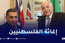 وقف العدوان وإغاثة الشعب الفلسطيني محور مكالمة هاتفية بين عطاف واللورد طارق أحمد