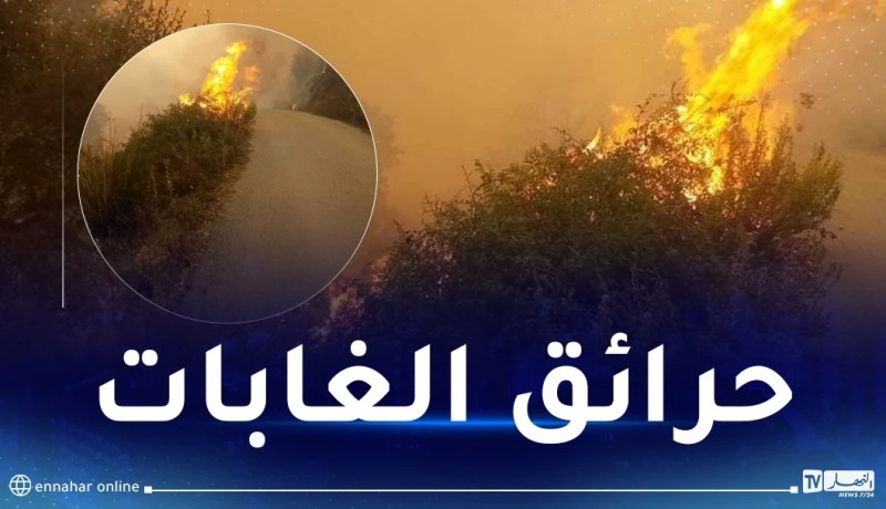 هذه الامكانيات التي تم تسخيرها لمكافحة حرائق الغابات