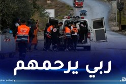 فيديو: إستشهاد 9 شباب إثر قصف مخيم نور شمس بطولكرم