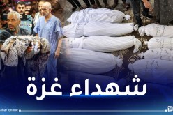 فاجعة غزة.. 4651 شهيدا و50 بالمائة من المباني تضررت