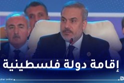 وزير الخارجية التركي: الطريق الصحيح يبدأ من وقف العنف وإيصال المساعدات إلى غزة