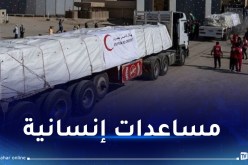 الصحة الفلسطينية: إدخال 20 شاحنة مساعدات عبر معبر رفح لأول مرة