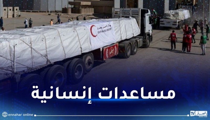 الهلال الأحمر الفلسطيني: وصول 20 شاحنة محملة بالمساعدات عبر معبر رفح