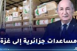 جسر جوي من الجزائر إلى مطار العريش بمصر لإرسال مساعدات لغزة